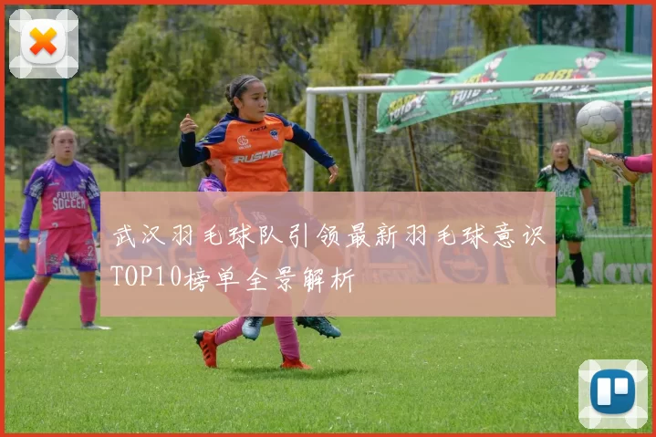 武汉羽毛球队引领最新羽毛球意识TOP10榜单全景解析
