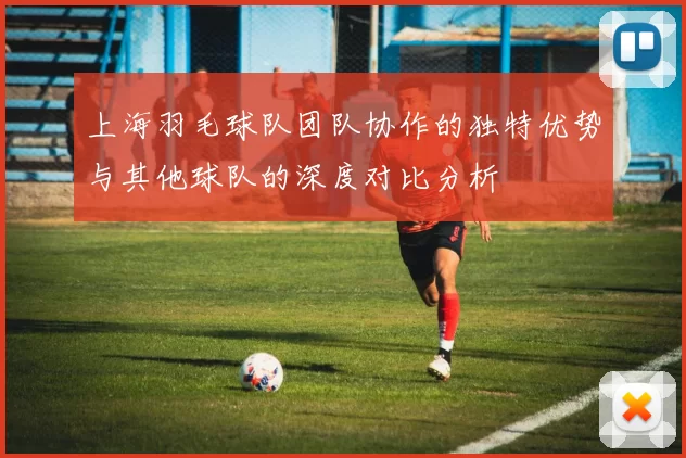 上海羽毛球队团队协作的独特优势与其他球队的深度对比分析