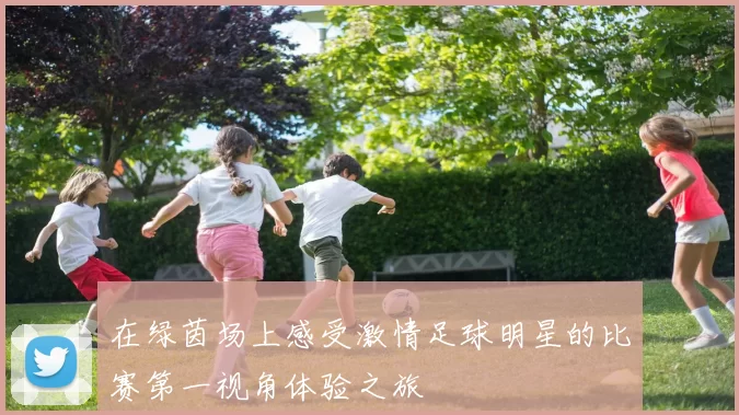 在绿茵场上感受激情足球明星的比赛第一视角体验之旅