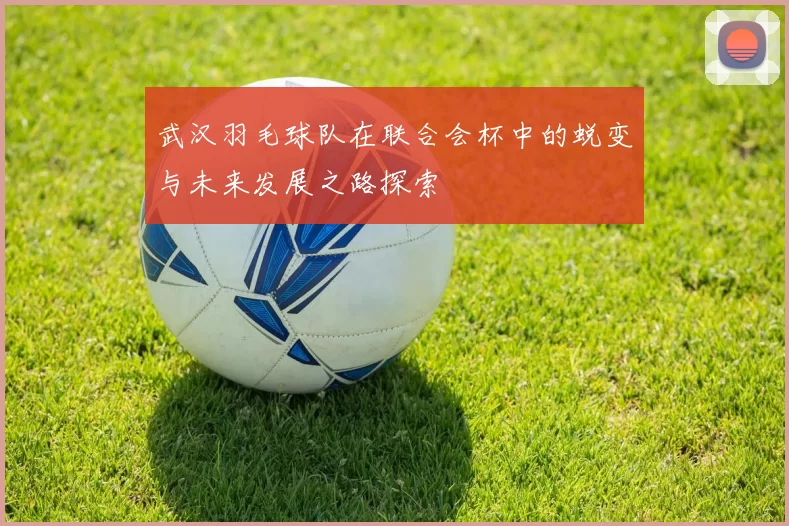 武汉羽毛球队在联合会杯中的蜕变与未来发展之路探索