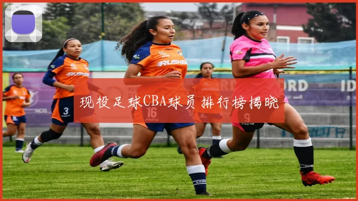 现役足球CBA球员排行榜揭晓