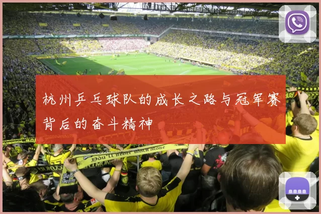 杭州乒乓球队的成长之路与冠军赛背后的奋斗精神