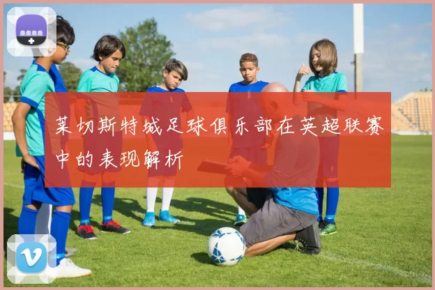 莱切斯特城足球俱乐部在英超联赛中的表现解析